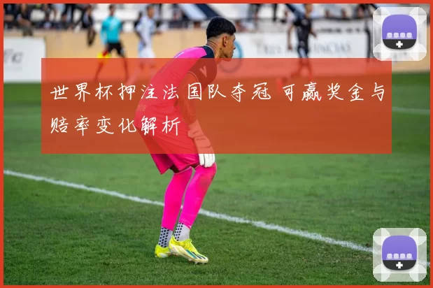 世界杯押注法国队夺冠 可赢奖金与赔率变化解析
