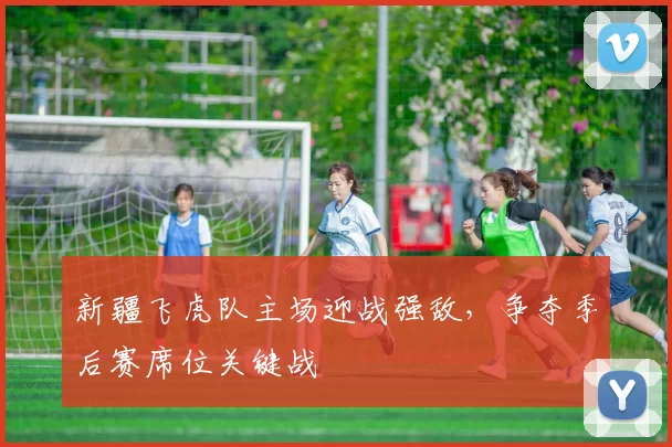 新疆飞虎队主场迎战强敌，争夺季后赛席位关键战