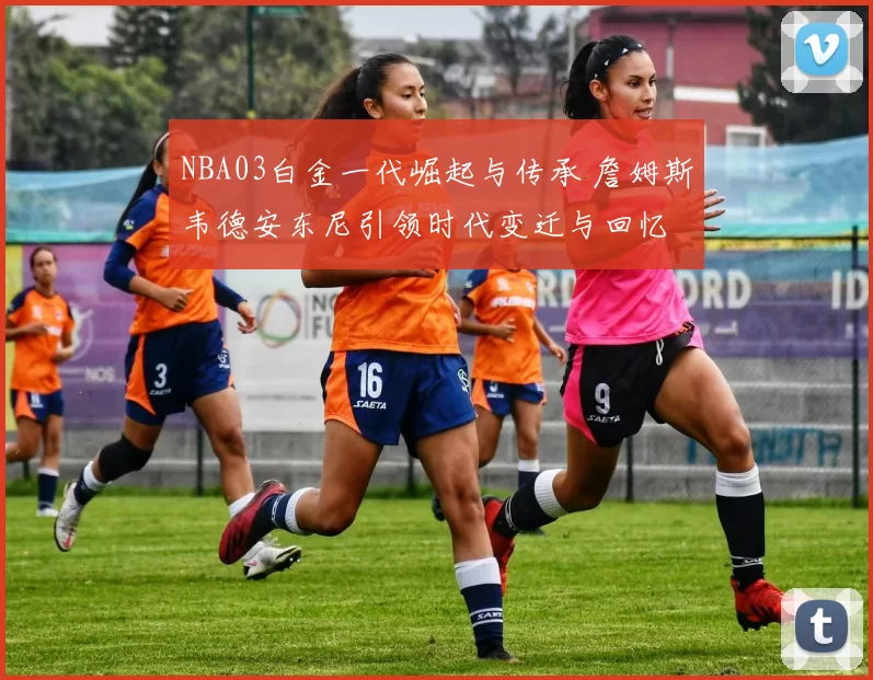 NBA03白金一代崛起与传承 詹姆斯韦德安东尼引领时代变迁与回忆